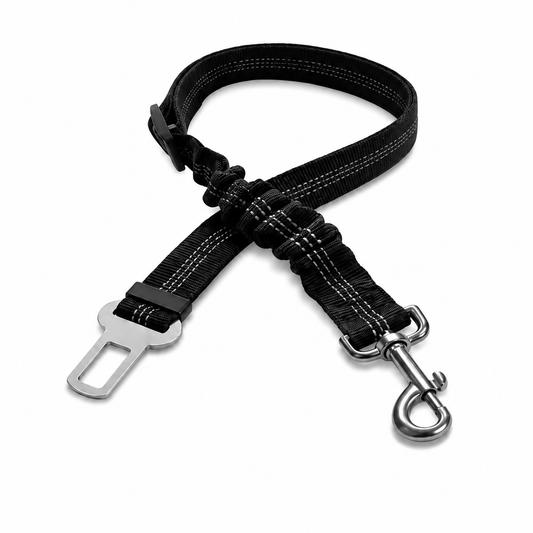 Seatbelt Buckle Leash