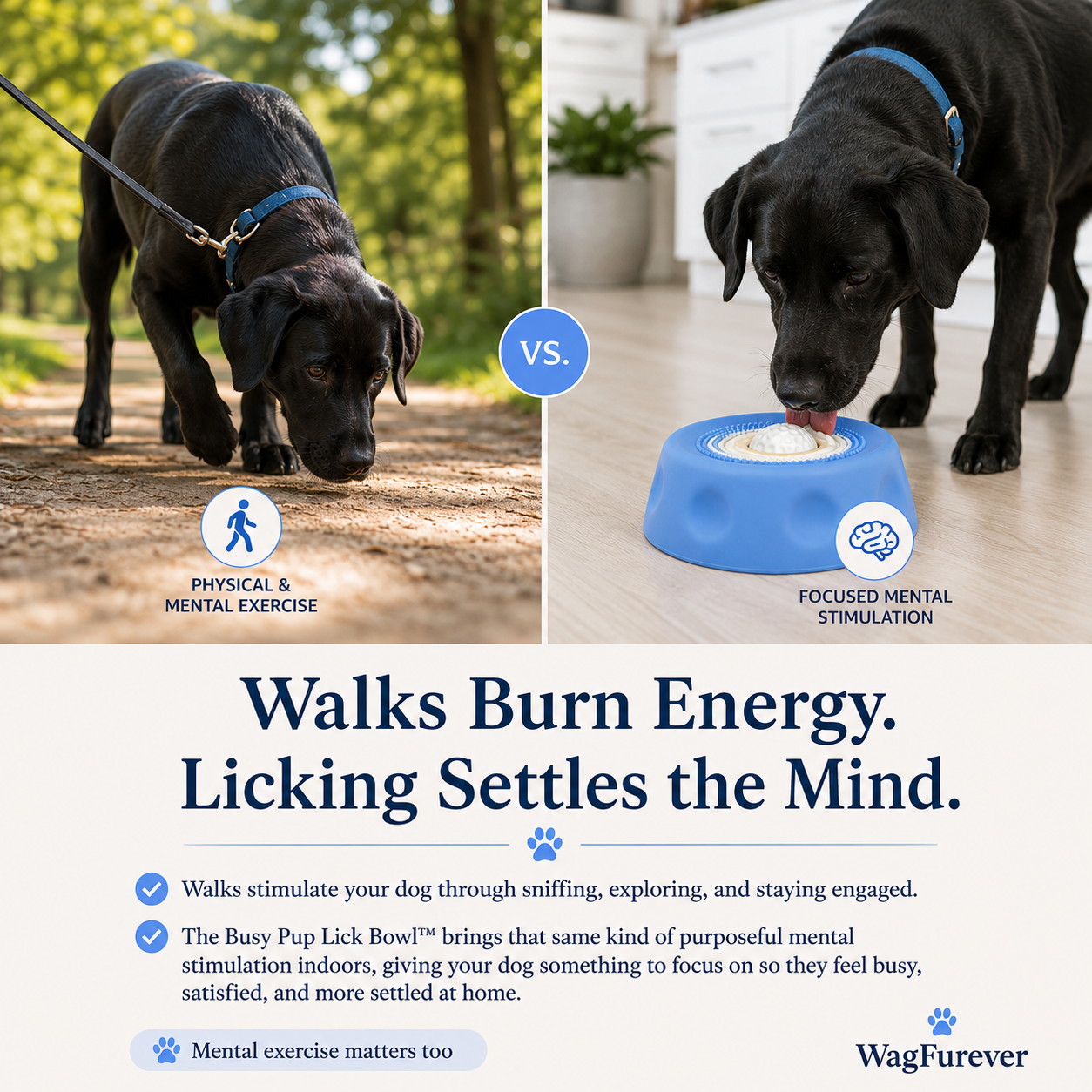 Busy Pup Lick Bowl™