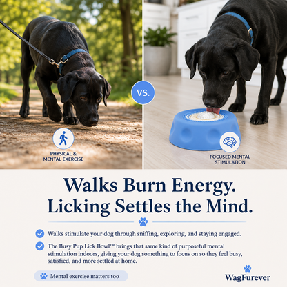 Busy Pup Lick Bowl™
